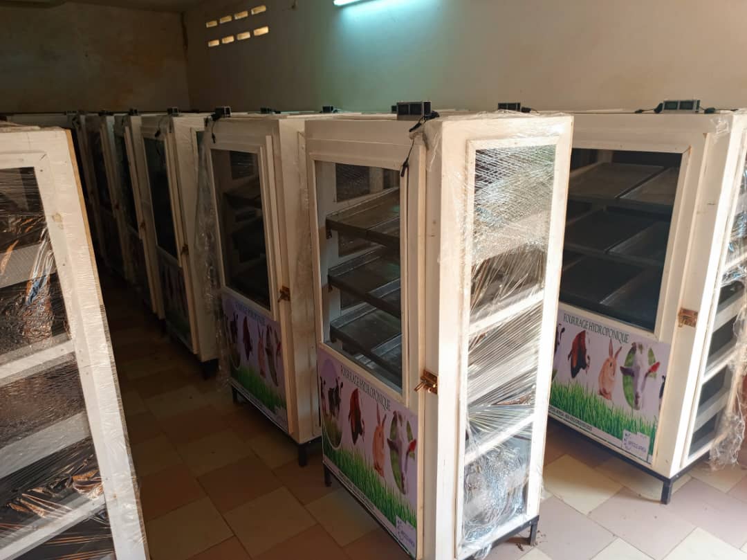 Prototypes FVH Bénin